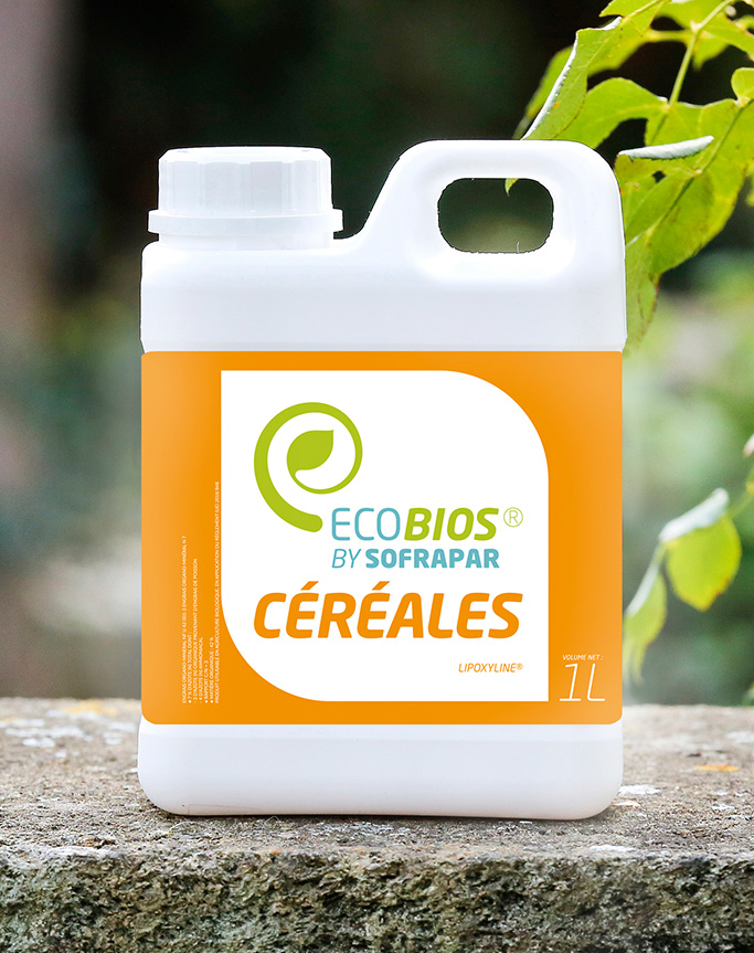 photo-cereales1_opt