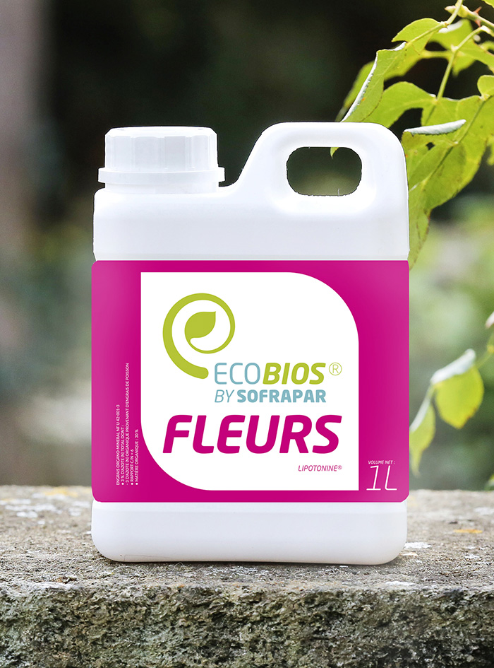 photo-fleurs1_opt