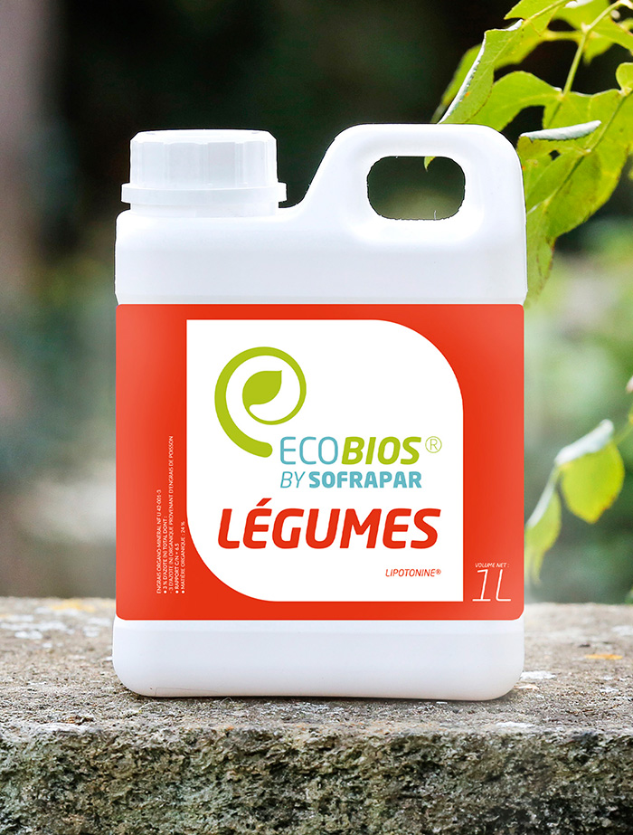 photo-legumes1_opt