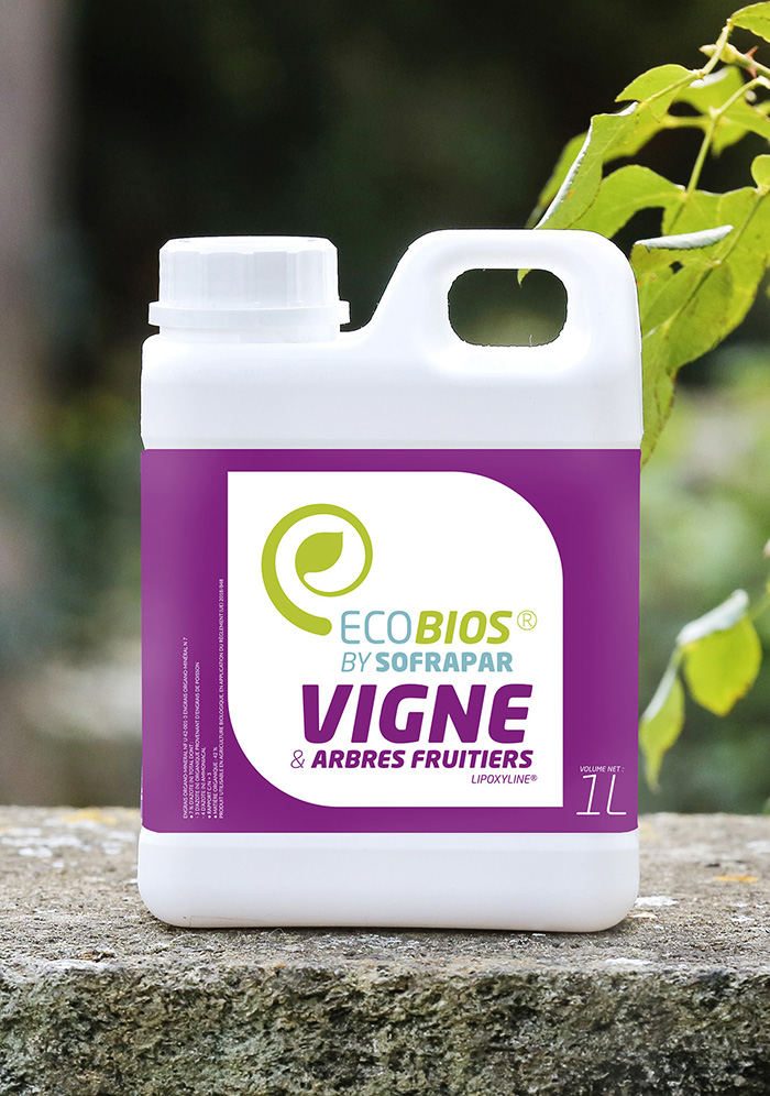 photovigne1_opt